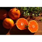 ふるさと納税 湯浅町 松兵衛みかん5kgご家庭用