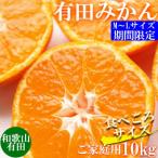ご 和歌山 有田みかん 約10kg