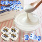 とろ~り食感 球磨の恵みヨーグルト 加糖タイプ 1kg×4パック