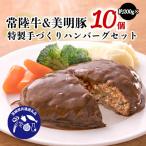常陸牛&amp;美明豚 特製手づくりハンバーグ 約200g×10個