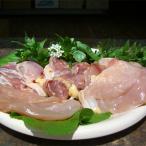 放し飼いで育てられた親鶏の肉 4羽分