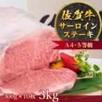 佐賀牛A4 5サーロインステーキ10枚 計3kg