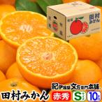 ふるさと納税 湯浅町 田村みかん/特選ギフト品10kg【Sサイズ】赤秀/湯浅町田村地区産/産地直送/紀伊国屋文左衛門本舗