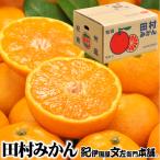 ふるさと納税 湯浅町 田村みかん【秀品小玉サイズ約140〜160果】湯浅町田村地区産/産地直送/紀伊国屋文左衛門本舗