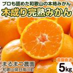 温州みかん ご 5kg