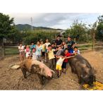 どろんこ村ファームステイ 2泊3日参加券