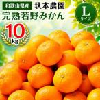 圦本農園の完熟 若野みかん Lサイズ10kg
