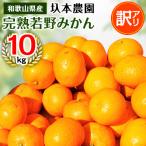 圦本農園の完熟 若野みかん 10kg