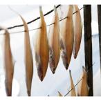 日本海産 旨味 エテカレイ 大4匹