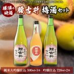 腰古井 梅酒 500ml×1本と720ml×2本セット