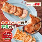 と _餃子 ぎょうざ 佐野餃子 野菜餃子 佐野