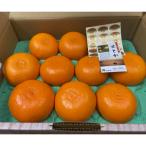 ショッピングせとか ふるさと納税 三豊市 せとか　3kg(7〜15玉入)化粧箱入り