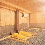 心と保養の宿 龍氣 日帰り入浴券×薬石風呂利用券 2セット
