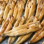 豪華うなぎセット 白焼き10匹 うなぎ大和煮2パック