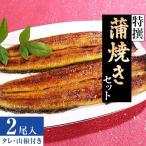 特撰 蒲焼きセット 二尾入