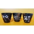 土佐弁焼酎カップ3個セット
