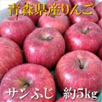 平均糖度13度以上 サンふじ 約5kg