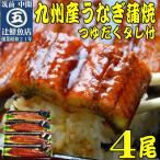 九州産うなぎ蒲焼4尾 秘伝つゆだくタレ付