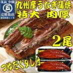 肉厚九州産うなぎ蒲焼2尾つゆだくタレ付