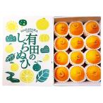和歌山産 有田の不知火 化粧箱 12玉×2箱