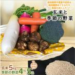 身体が喜ぶ野菜とお米 詰め合わせ おまかせ