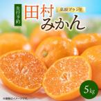 有田みかん 5kg