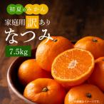 初夏のみかん なつみ7.5kg