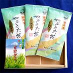 ふるさと藤枝 煎茶 天下一 100g×3袋セット