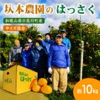 圦本農園のはっさく 10kg