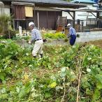生い茂ったお庭の雑草をすっきりさせる