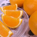 ふるさと納税 湯浅町 ひだまりみかん家の完熟清見オレンジ 5kg　ひとつひとつ丁寧に選別!生産者から直送