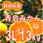 ふるさと納税 藤枝市 【2025年12月下旬から発送】静岡県産　青島みかん 3L 13kg