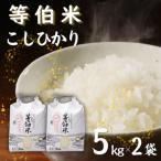 等伯米コシヒカリ10kg 5kg×2袋