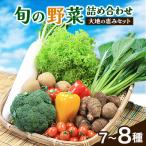 旬野菜の詰め合わせ 大地の恵みセット 7~8種