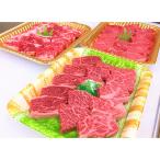 牛肉 セット ttn129土佐あかうし焼肉セットII
