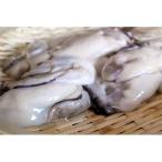 冷凍むき身牡蠣 加熱調理用 約1kg×2袋