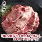 但馬牛特上切り落とし 300g×2P
