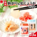新がり 紅しょうがセット_惣菜 加工品 漬物