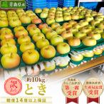 ふるさと納税 青森市 「とき」約10kg・糖度14度以上保証・訳あり家庭用りんご