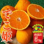 ショッピングふるさと納税 先行予約 ふるさと納税 宇城市 先行予約 不知火 でこ姫5kg(13〜22玉) 家庭用