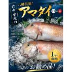 竹中水産の甘鯛 赤又は白 約1キロ