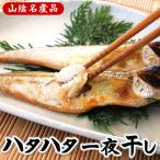 山陰の大型ハタハタ一夜干し 10匹入り