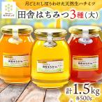月ごとに楽しむ田舎はちみつ 無添加非加熱天然蜂蜜セット