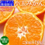 ふるさと納税 湯浅町 先行受付【ご家庭用】和歌山有田みかん約10kg(SS、Sサイズ)【湯浅町】