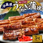 職人手焼きうなぎ 3匹
