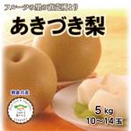 ふるさと納税 朝倉市 フルーツの里の直売所より あきづき梨10〜14玉(9月中旬発送)