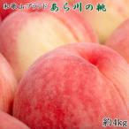 ふるさと納税 紀の川市 【産直】和歌山のブランド桃「あら川の桃」約4kg・秀品 2025年度発送分