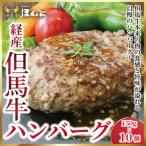 ふるさと納税 朝来市 『但馬牛のほくぶ』特製　経産但馬牛のハンバーグ