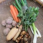 自然体な野菜セット