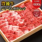 豊後牛バラ もも焼肉セット 合計600g